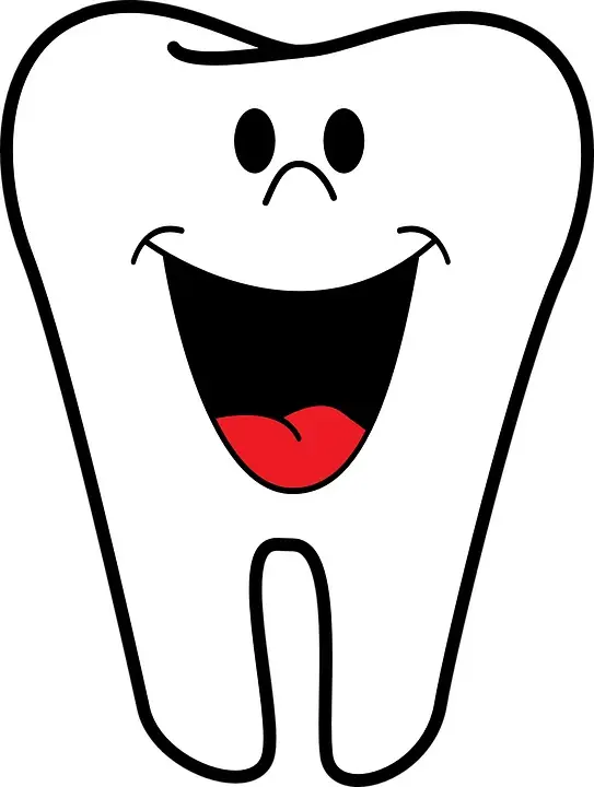 Tooth Cartoon
